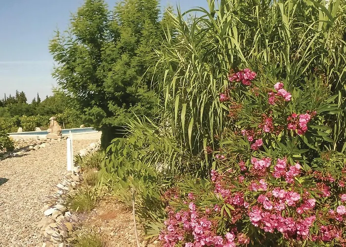 Awesome Home In Argeliers With Wifi Foto