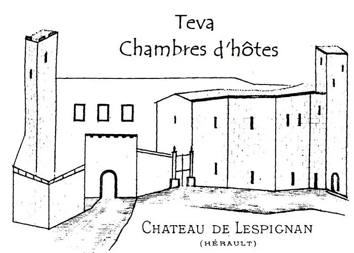 Photo de Bed and Breakfast Teva à Lespignan