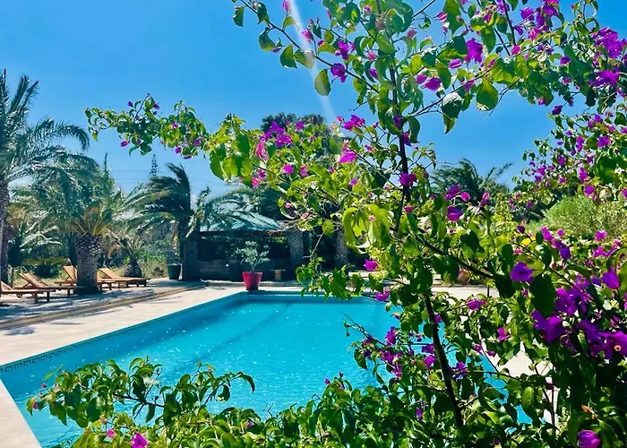Tropic Hotel Rivesaltes photo