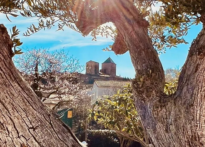 Melisande Au Pays Des Orjouliers Saint-Jean-de-Fos photo