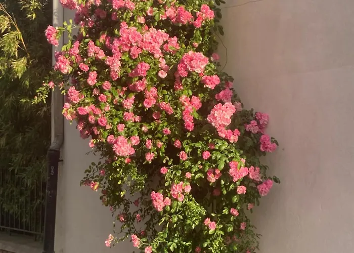 Bed and Breakfast Les 4 Etoiles Montpellier Foto