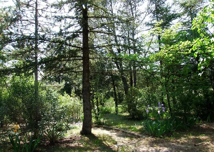 La Bardane Villa Carnas foto