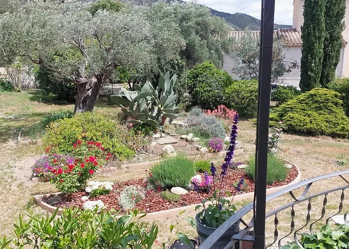 Villa With Private Swimming Pool Roquebrun photo