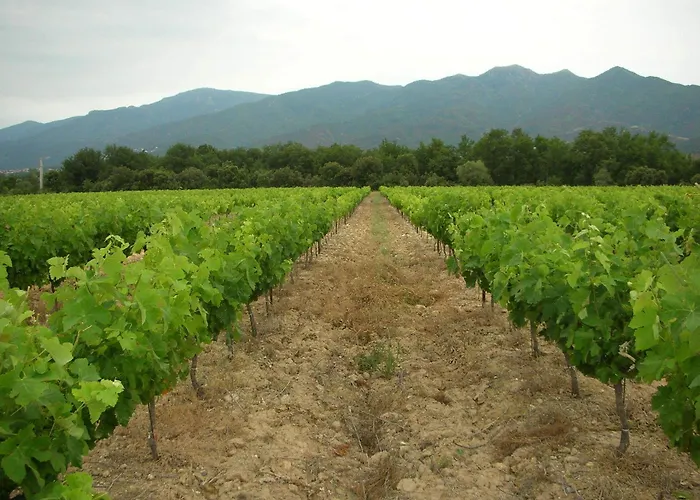Domaine De Nidoleres Hotel Tresserre photo