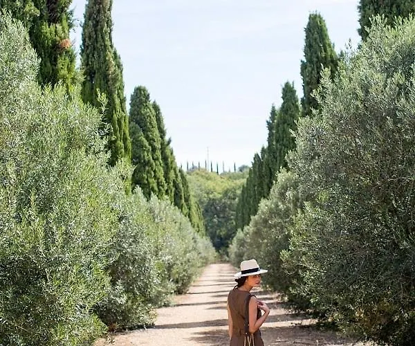 Seigneurie De Peyrat Bed & Breakfast Pezenas photo