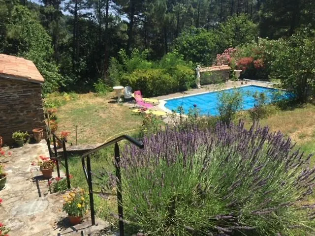 Le Chant des Pins en Cévennes Le Collet-de-Dèze foto