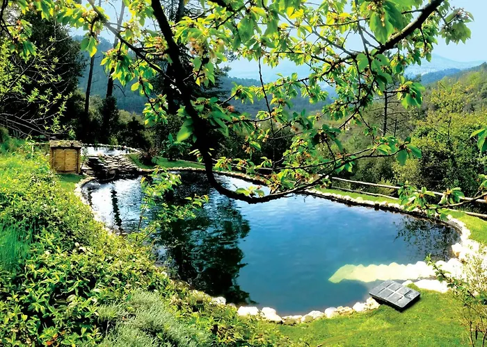 13Th Century Cevennes Farmhouse With Natural Pool Soustelle φωτογραφία