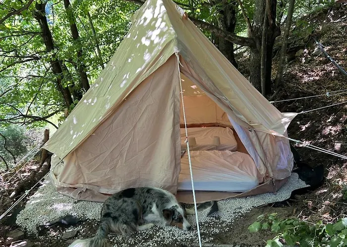 Tipi Nature A L'Ombre Des Tilleuls A Vialas En Cevennes fotorgafie