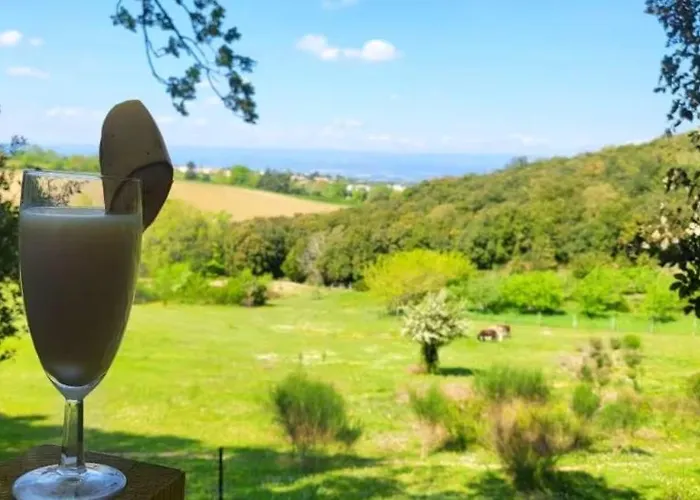 A 10 Min De La Cite Medievale De Carcassonne Alairac photo