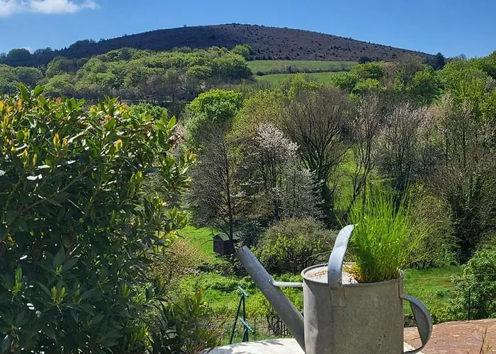 La Maison Du Chataignier Cassagnolles foto