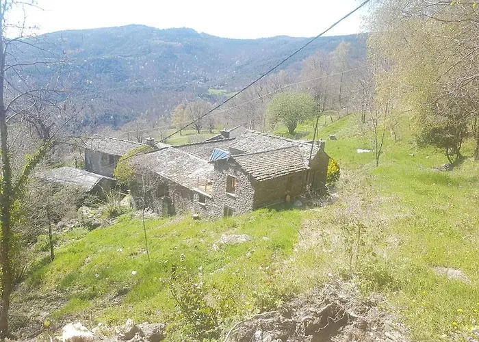 Gite Le Plan Saint-Martin-de-Lansuscle fotoğrafı