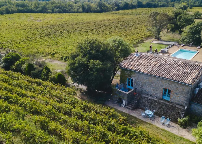 Fressac Gite Au Milieu Des Vignes, Piscine, Jacuzzi, Climatisation תמונה