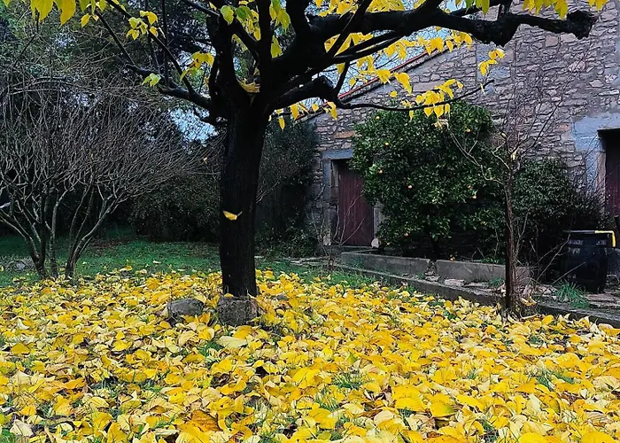 L'Ostal Des Embruscalles Claretの写真