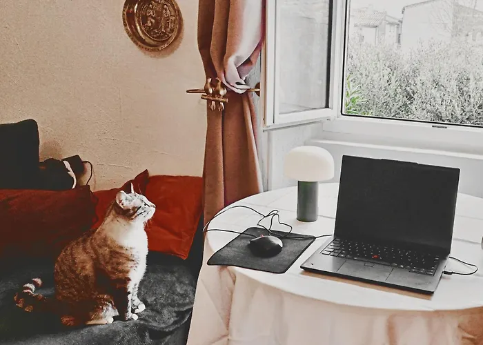 Sejour Teletravail Tout Inclus, Pres De Carcassonne Pexiora fotorgafie