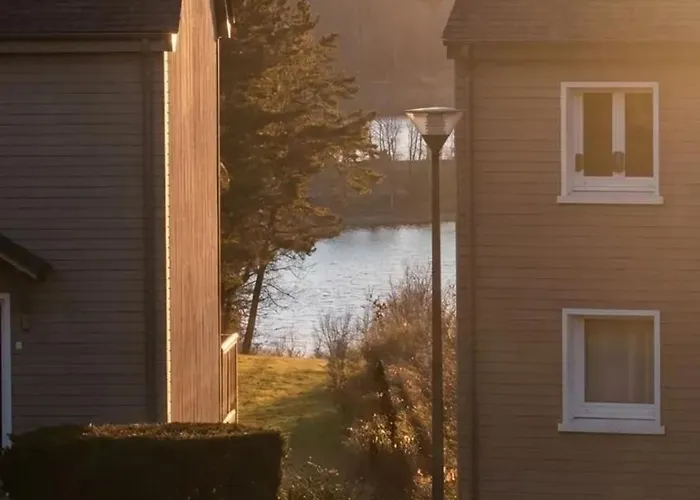 fotos do Appartement charmant à La Salvetat-sur-Aout 50 m² avec jardin