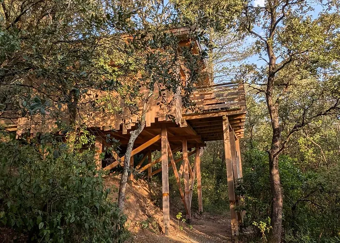 Photo de Les Cabanes Dans Les Bois Villedubert