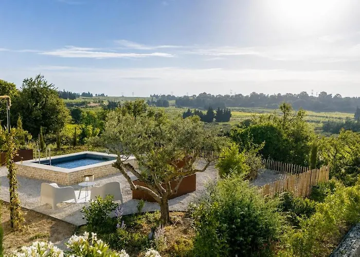 Фото -Au Bout Les Vignes - Logement Avec Piscine Et Vue Estezargues