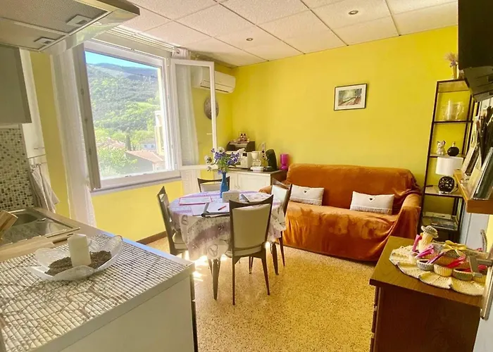 Appartement Accueillant Avec Parking, Animaux Ok - Fr-1-703-230 Arles-sur-Tech fotorgafie