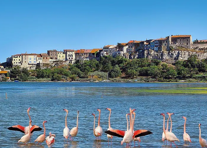 La Lagune Bages  zdjęcie
