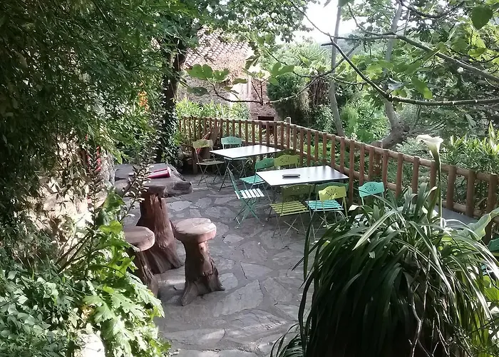 La Figuera Bed & Breakfast Camelas photo