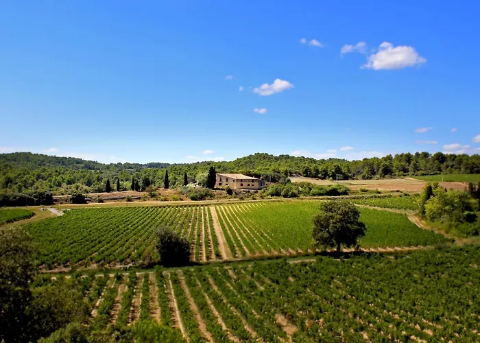 Domaine De Palats Guest House Laure-Minervois photo